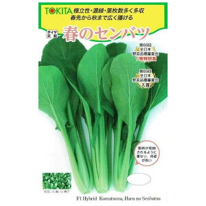 gL^c@R}ci@t̃Zoc@[eʁF10ml]