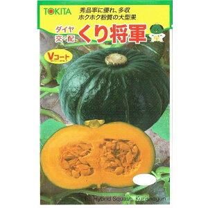 �g�L�^��c�@�J�{�`���@���菫�R�@[���e�ʁF��7��]