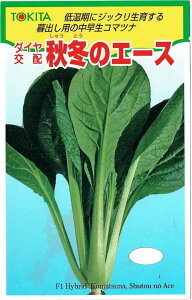 gL^c@R}ci@H~̃G[X@[eʁF10ml]