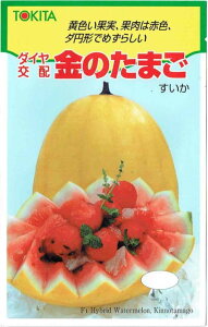 gL^c@XCJ@̂܂@[eʁF10]