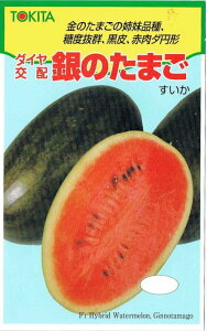 gL^c@XCJ@̂܂@[eʁF10]