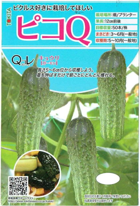 楽天市場 トキタ種苗 ミニキュウリ ピコｑ 約10粒 郵送対応 日光種苗