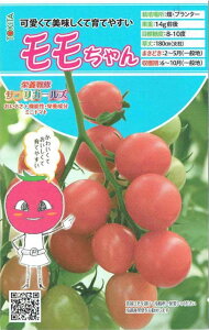 �g�L�^��c�@�~�j�g�}�g�@���������@[���e�ʁF��8��]