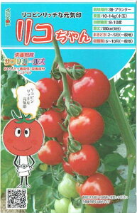 �g�L�^��c�@�~�j�g�}�g�@���R�����@[���e�ʁF��8��]