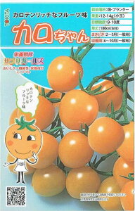 gL^c@~jg}g@J@[eʁF8]