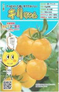 �g�L�^��c�@�~�j�g�}�g�@�L�������@[���e�ʁF��8��]