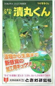 Ƃ팤@LE@Њۂ@20yXΉz