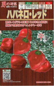 gL^c@gEKV@nolEbh@[eʁF30]