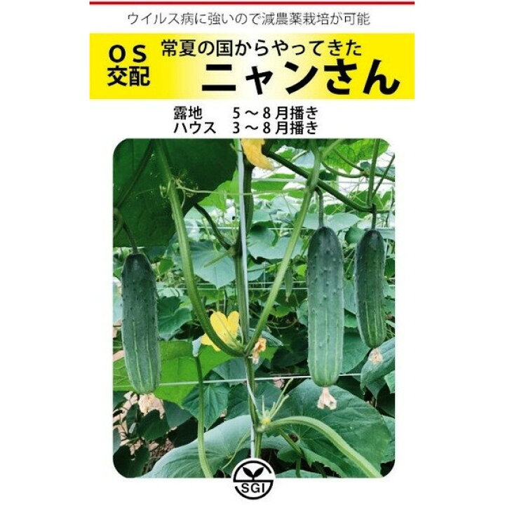 楽天市場 埼玉原種育成会 キュウリ ニャンさん 約10粒 郵送対応 日光種苗