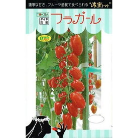 トキタ種苗　ミニトマト　フラガール　約8粒　【郵送対応】