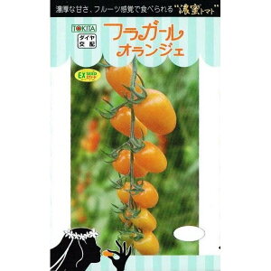 gL^c@~jg}g@tK[IWF@[eʁF8]