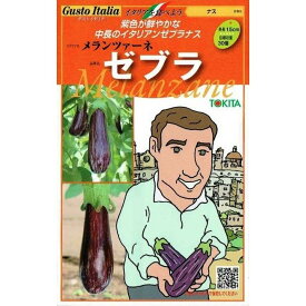 楽天市場 白 ナス 苗の通販