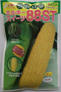 gL^c@Ƃ낱@~L[XC[c88ST [eʁF200]