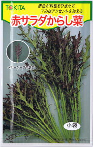 gL^c@ԃT_炵 [eʁF10ml]