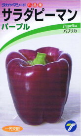 タカヤマシード サラダピーマン パープル 約15粒 【郵送対応】
