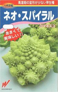 nӔ_@}lXR@lIEXpC@20yXΉz