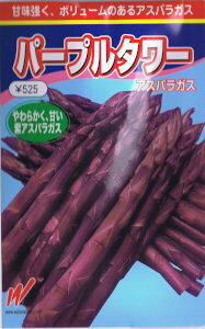 nӔ_@AXpKX@p[v^[ 8 yXΉz