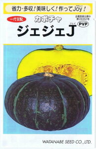 �n�Ӎ̎�� ���ڂ��� �W�F�W�FJ ��9�� �y�X���Ή��z�y�i�햼�F�W�F�W�FJ_�o�^�ԍ��F��23817��_�C�O���o�֎~�z