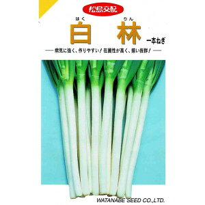 白 ネギ 種の人気商品 通販 価格比較 価格 Com 白 ネギ 種の人気商品 通販 価格比較 価格 Com