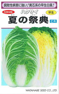 nӍ̎@nNTC@Ă̍ՓT@0.8mlyXΉz