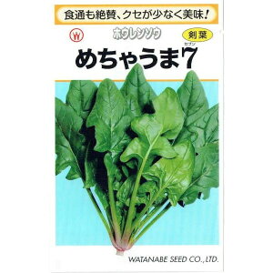 nӍ̎@zE\E@߂Ⴄ7@1dlyXΉz