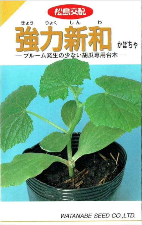 コクヨ 品番K04-M621-0TL91 アメニティ用家具 コーデ チェア パイプ肘 W610xD535xH720xSH450 オフィス家具 | bigdataexperts.com