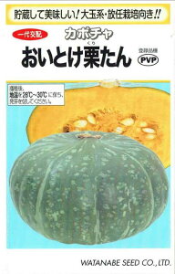 �n�Ӎ̎��@�J�{�`���@�����Ƃ��I����@��9���y�i�햼�F�����Ƃ��I����_�o�^�ԍ��F��32781��_�C�O���o�֎~�z