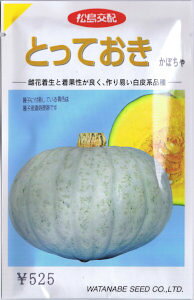 �n�Ӎ̎��@�J�{�`�� �Ƃ��Ă��� ��8�� �y�X���Ή��z