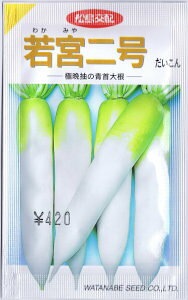 nӍ̎@卪E{ 4.3ml yXΉz