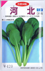 nӍ̎@؁E͖k 6.6ml yXΉz