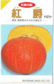 松島交配　かぼちゃ　紅爵（こうしゃく） 約9粒 【郵送対応】