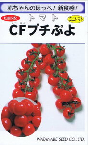 種 プチぷよ 種の人気商品 通販 価格比較 価格 Com