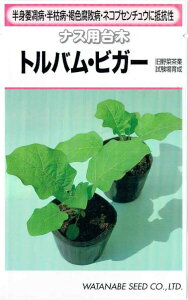 nӍ̎@iXp؁@goErK[@[eʁF250]