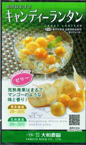 a_ HpzIYL LfB[^ R[gq 14yi햼FLfB[^_o^ԍF26273_COo֎~z