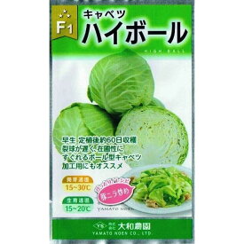 大和農園　キャベツ　ハイボール　1ml【郵送対応】