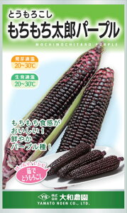 a_@gERV@Yp[v@1dlyXΉz