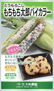 a_@gERV@YoCJ[@20mlyXΉz