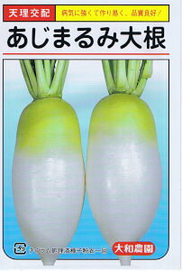 a_ _CR ܂ݑ卪@8ml yXΉz