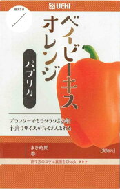 横浜植木　パプリカ　ベイビーキス オレンジ　約6粒