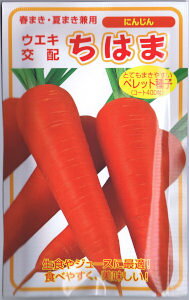 lA lQE͂܁@R[gq@400 yXΉz