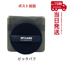 【ゆうパケット】スピケア V3専用bigパフ 持ち運びケース付き スピケアv3ファンデーションパフビッグサイズ 交換パフ SPICARE