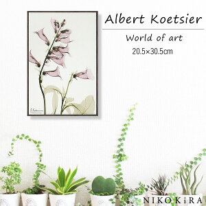 yLINEo^300~OFFN[|z G  ԕ A  ϗtA  A[g G Ǌ| z i G  RAY LoXA[g TrA iSj 20.5 30.5cm |X^[ A[g A[gpl