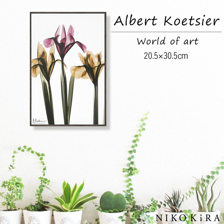楽天市場 3 28迄p2倍 クーポン 絵画 お花 花柄 植物 花 観葉植物 名画 アート 絵 壁掛け 額入り 風景画 油絵 おしゃれ X Ray キャンバスアート アイリス Sサイズ W 5xh30 5cm ポスター アート アートパネル トイレ 玄関 モダン アートフレーム ホテル