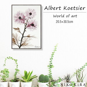 yLINEo^300~OFFN[|z G  ԕ A  ϗtA  A[g G Ǌ| z i G  RAY LoXA[g EBh~ S 20.5 30.5cm |X^[ A[g A[gpl