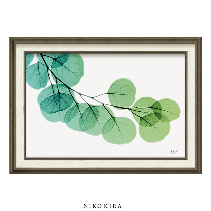 楽天市場 本日p2倍 400円offクーポン おしゃれ アート 華 花 絵画 かわいい 絵 モダン風景画 おしゃれ X Ray キャンバスアート ユーカリ M 70cm 50cm アート パネル 壁掛け リビング トイレ 玄関 プレゼント飾る 送料無料 鏡専門店 Niko Kira