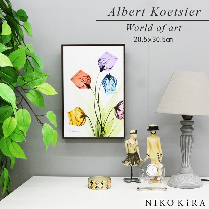 楽天市場 本日p2倍 0円クーポン 絵画 お花 花柄 植物 花 観葉植物 名画 アート 絵 壁掛け 額入り 風景画 油絵 おしゃれ Ray キャンバスアート サンダーソニア S W 5 H30 5cm ポスター アート アートパネル リビング トイレ 玄関 モダン アートフレーム