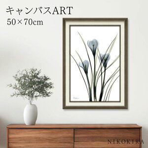 y500~OFFN[|z G A[g A[gpl A[g|X^[  X RAY LoXA[g NbJX MTCY Ao[g N[cB[  ԕ  Ԃ̃A[g i z |X^[ 