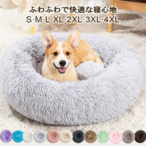 y500~N[|~2_wzxbh@Lxbh ybgxbh  L NbV ~ H t  ی^ Lpxbh ObY e pxbh 􂦂 ^ ^ ^ ΍ \t@[ yb