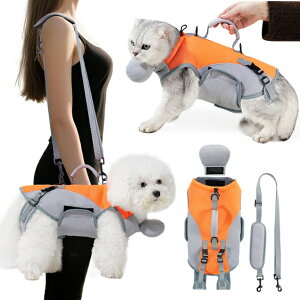 ペット用 リード付き バックパック 通気性メッシュ 猫 小型犬 外出用 散歩 ハーネス 軽量 耐摩耗 マジックテープ固定 取り外し可能枕 オールインワン