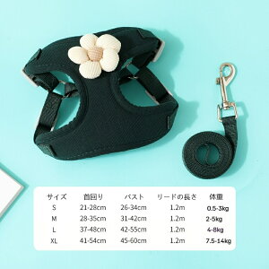 ybg[h p Lp ybg[h hE y ʋC bV n[lX  U ^ ^ \ D^obN S K |GXe iC ˍ   120cm STCY M